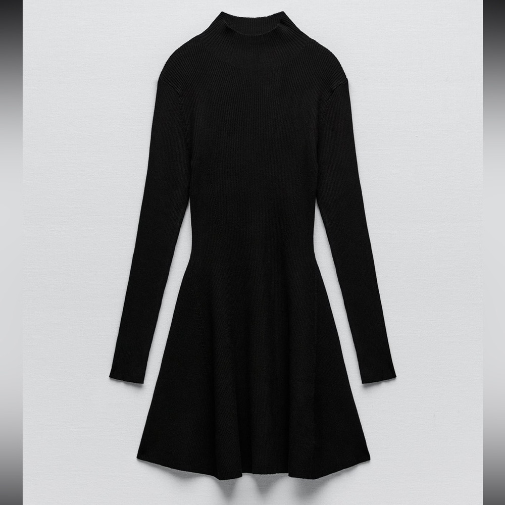 Zara Knit Mock Neck Dress